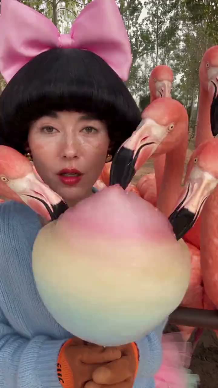 Ostriches become flamingos, cabbage becomes cotton candy: the Bijutsu remake